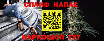 молекула духа Краснодар