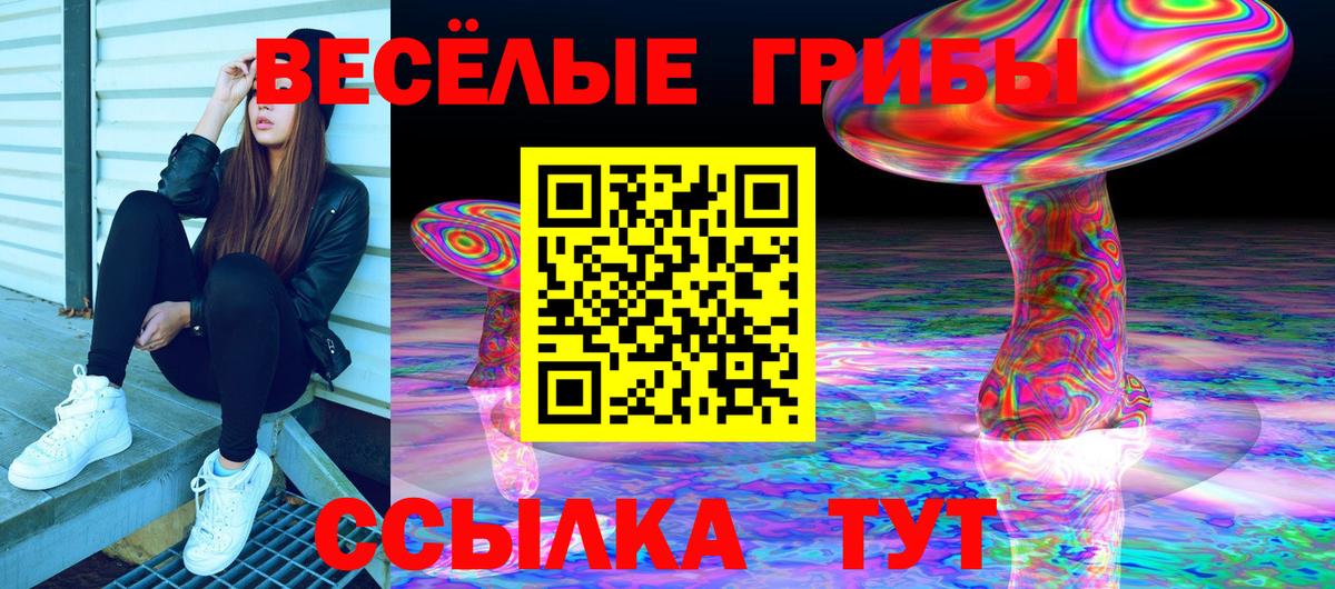 Галлюциногенные грибы ЛСД  Вход с VPN  Тихвин 
