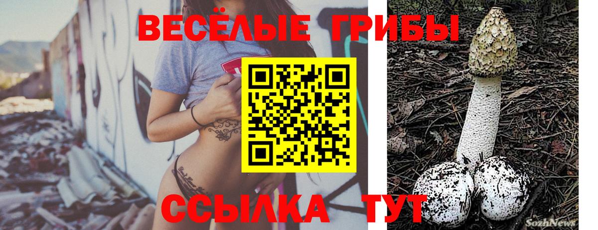 Галлюциногенные грибы ЛСД Тихвин
